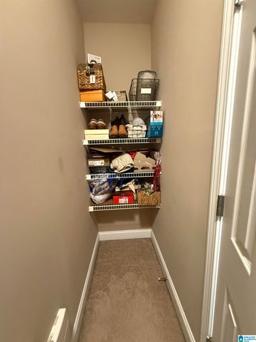 3299 RIVER BIRCH TRAIL, Chelsea, AL 35043