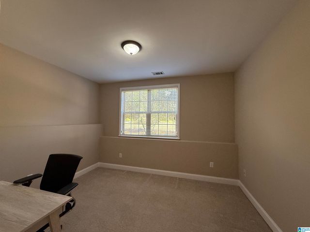 3299 RIVER BIRCH TRAIL, Chelsea, AL 35043