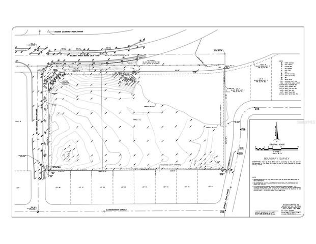 E SILVER STAR ROAD, Ocoee, FL 34761