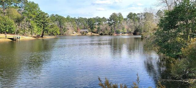 250 Wood Haven Haven, Livingston, TX 77351