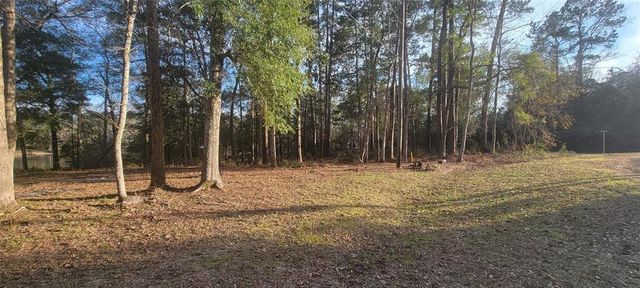 250 Wood Haven Haven, Livingston, TX 77351