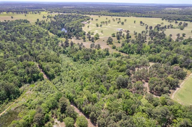 226 N FM 2869, Winnsboro, TX 75494