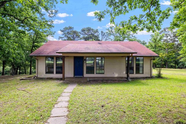 226 N FM 2869, Winnsboro, TX 75494