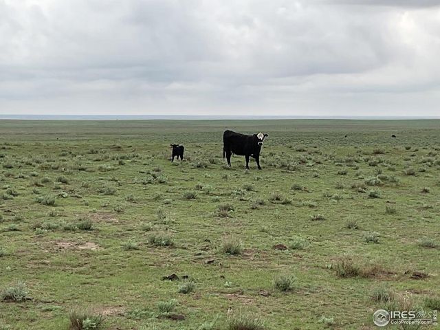 40 Hwy, Kit Carson, CO 80825