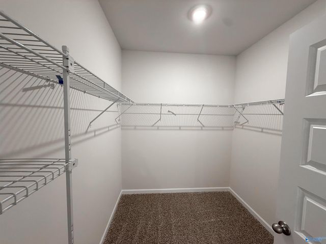 124 Betty Williams Drive, Madison, AL 35756
