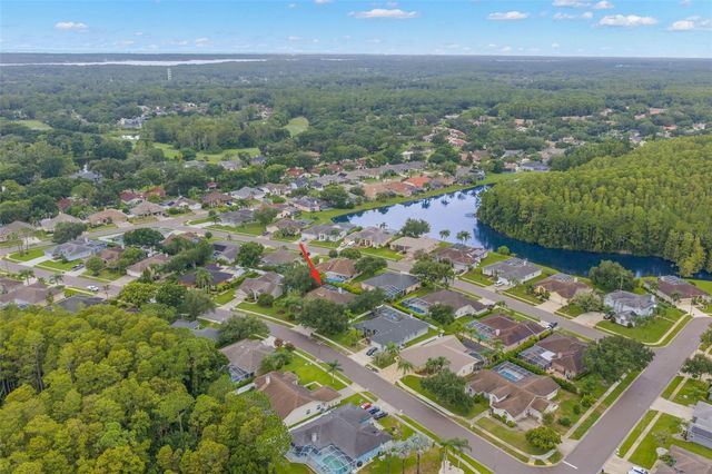5501 STAG THICKET LANE, Palm Harbor, FL 34685