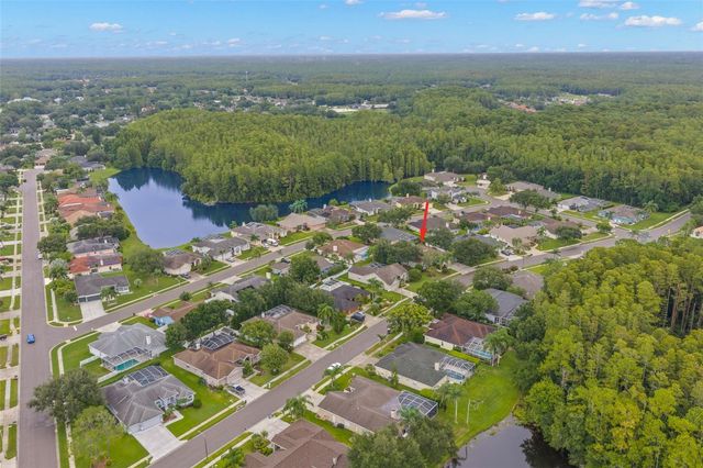 5501 STAG THICKET LANE, Palm Harbor, FL 34685