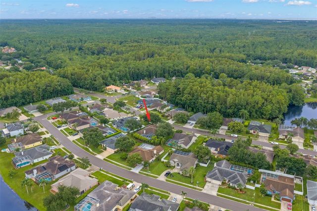 5501 STAG THICKET LANE, Palm Harbor, FL 34685