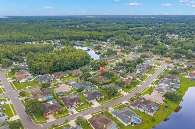5501 STAG THICKET LANE, Palm Harbor, FL 34685