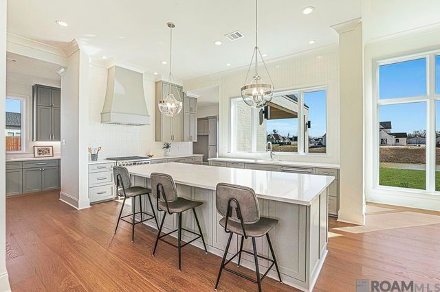 43328 Collyns Cove, Prairieville, LA 70769