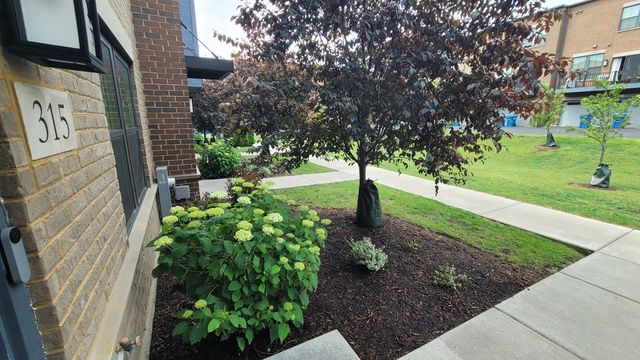315 Elm Court, Mount Prospect, IL 60056