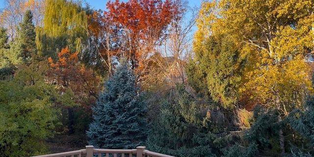 3420 N View Bay, Woodbury, MN 55125