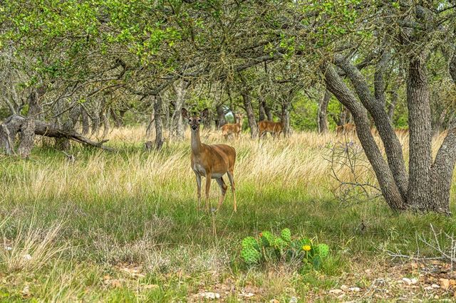 1379 Barker-Rogers Rd, Harper, TX 78631