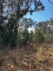 0 CYPRESS ROAD, LOT 12, Ocala, FL 34472