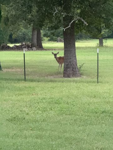 9748 County Road 1200, Athens, TX 75751