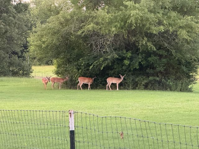 9748 County Road 1200, Athens, TX 75751