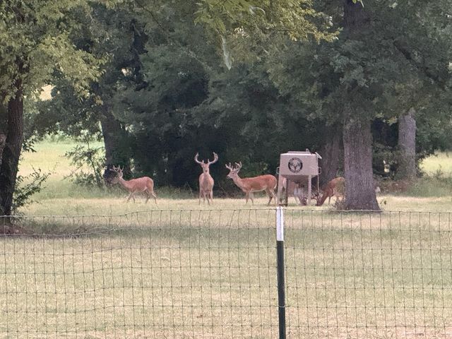 9748 County Road 1200, Athens, TX 75751