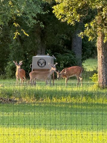 9748 County Road 1200, Athens, TX 75751