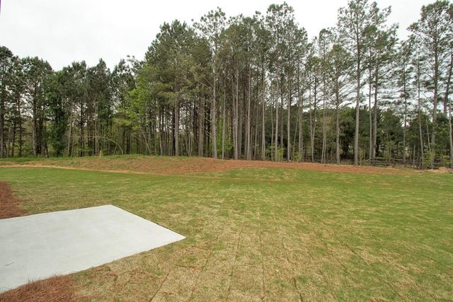 4205 Woodsley Place, Loganville, GA 30052