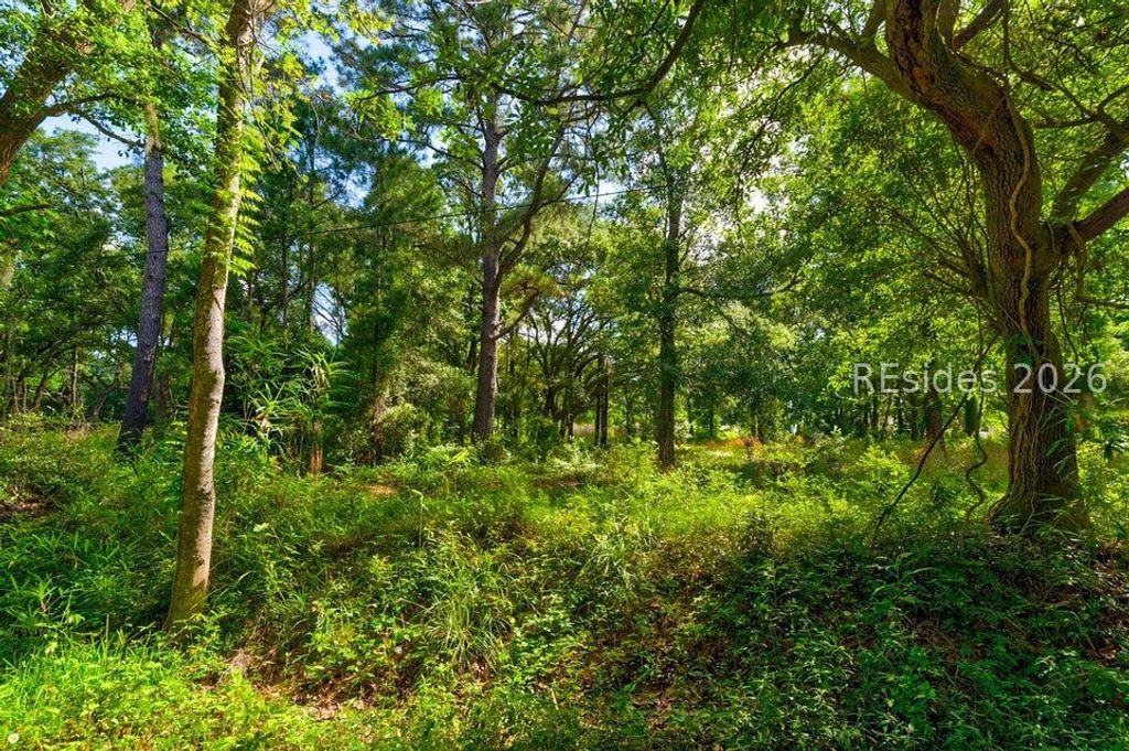 0 Arsburn Road, Charleston, SC 29412