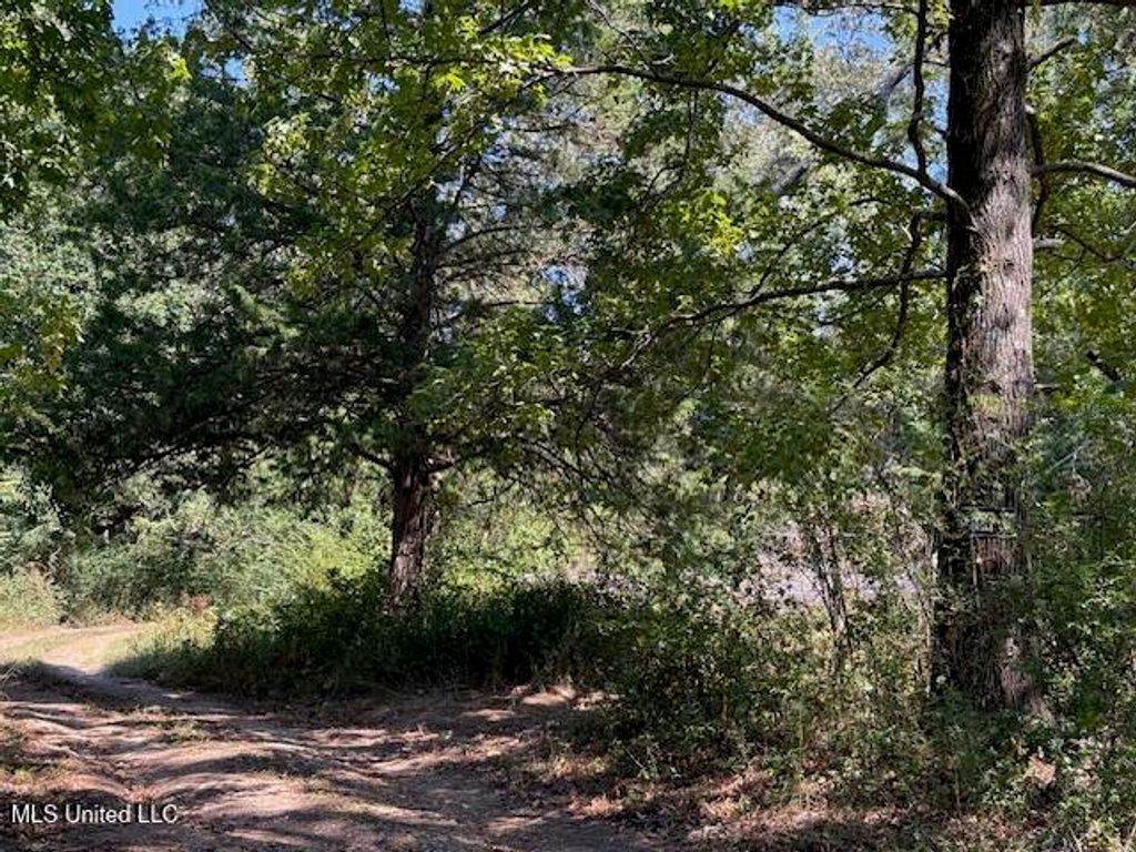 1620 Gwynn Road, Nesbit, MS 38651 — photo 3