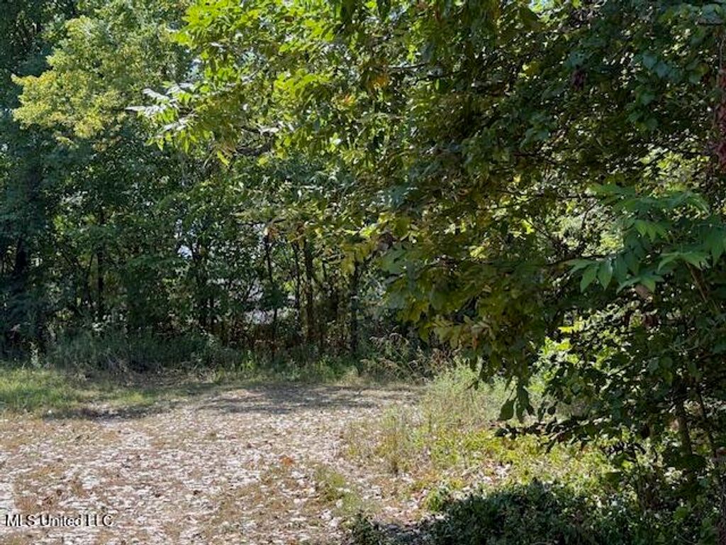 1620 Gwynn Road, Nesbit, MS 38651 — photo 4