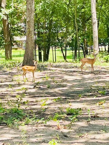 940 County Road 1858, Yantis, TX 75497
