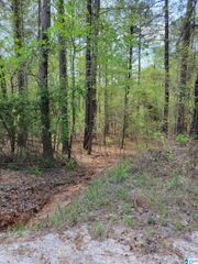 LAKE GENEVA DRIVE, Wedowee, AL 36278