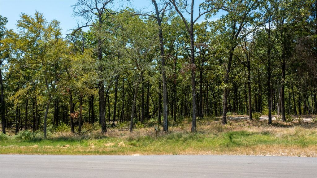 7321 Ranch Oaks Trail, Eustace, TX 75124
