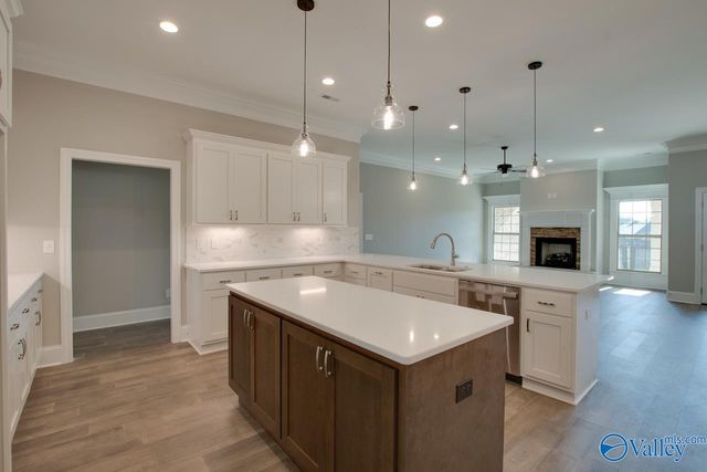 Kelly Plan Indigo Drive, Huntsville, AL 35811