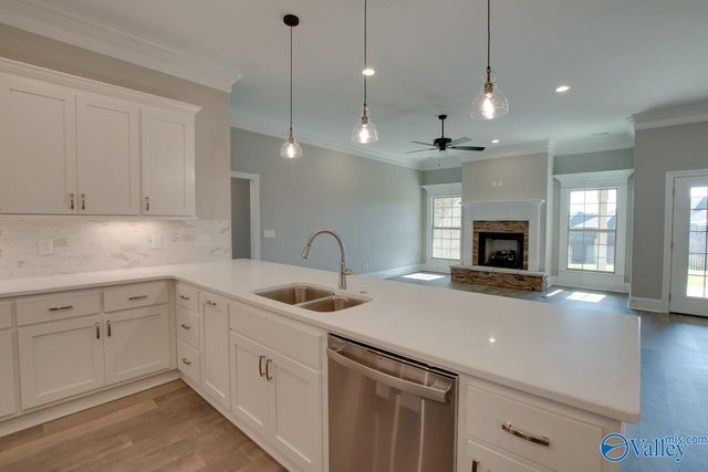 Kelly Plan Indigo Drive, Huntsville, AL 35811