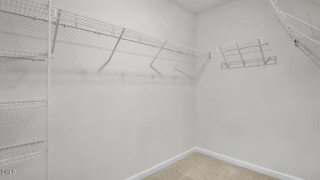 201 Palomino Way, Clayton, NC 27520