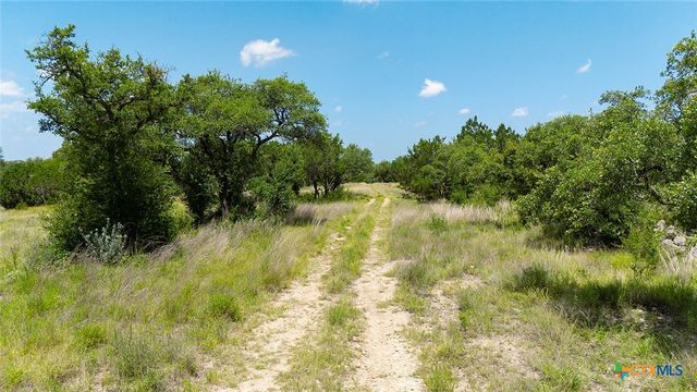 670 Windmill Ridge Drive, Blanco, TX 78606