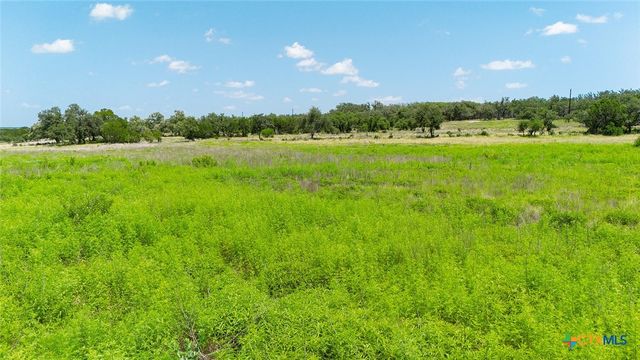 670 Windmill Ridge Drive, Blanco, TX 78606