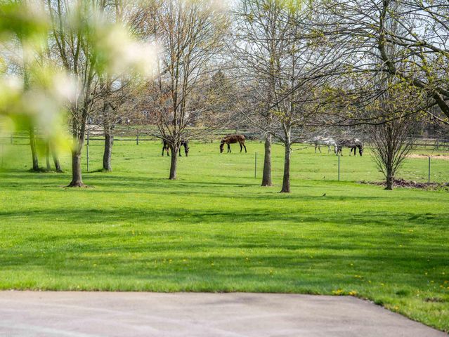 202 Donna Mae Drive, Leonard, MI 48367