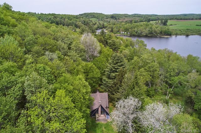 544 Briscoe Road, Swan Lake, NY 12783