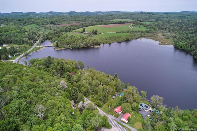 544 Briscoe Road, Swan Lake, NY 12783