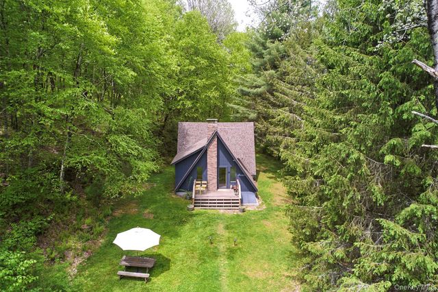 544 Briscoe Road, Swan Lake, NY 12783
