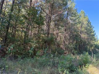 6.69 acs Buck Ryals Road NE, Townsend, GA 31331