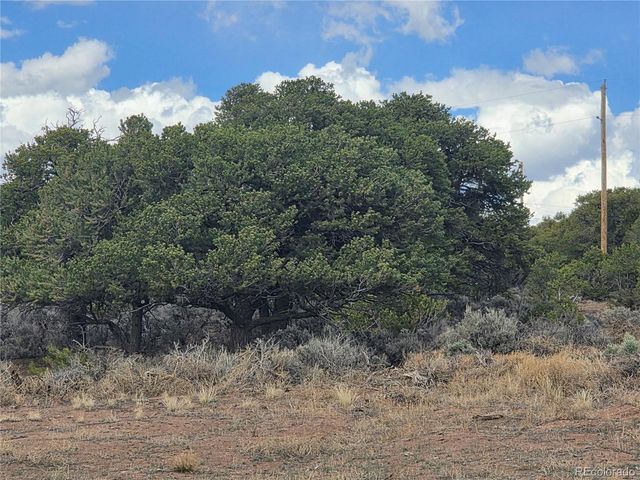 3691 Rockwell Road, Fort Garland, CO 81133