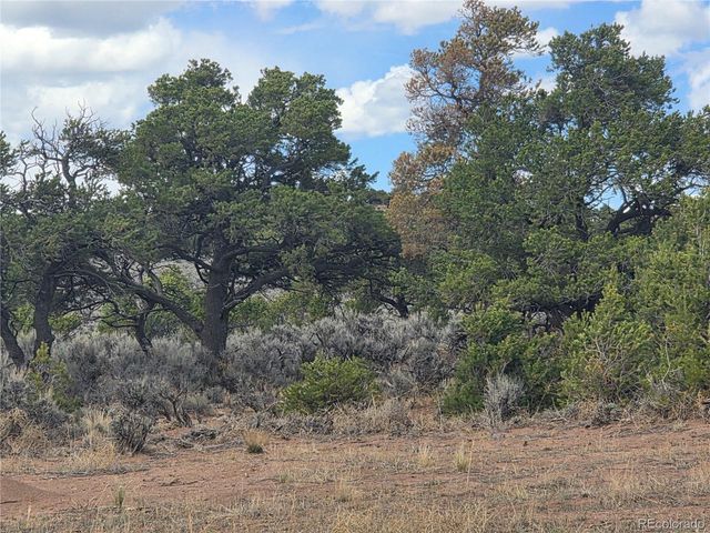 3691 Rockwell Road, Fort Garland, CO 81133