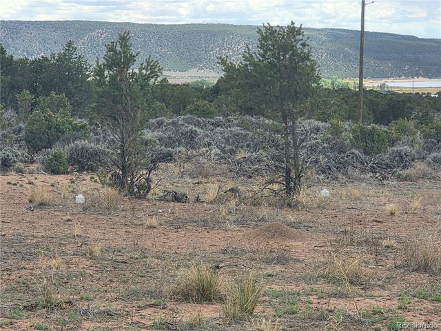 3691 Rockwell Road, Fort Garland, CO 81133