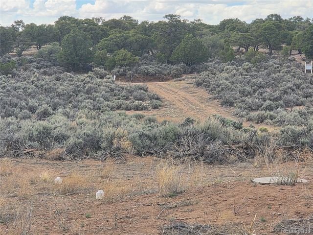 3691 Rockwell Road, Fort Garland, CO 81133