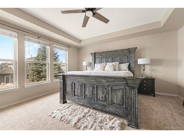 10635 Clarke Farms Dr, Parker, CO 80134