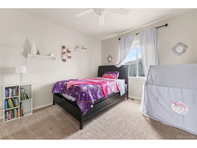 10635 Clarke Farms Dr, Parker, CO 80134