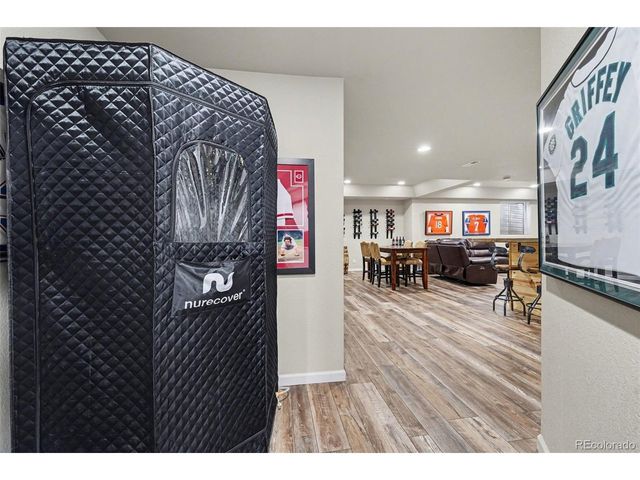 10635 Clarke Farms Dr, Parker, CO 80134