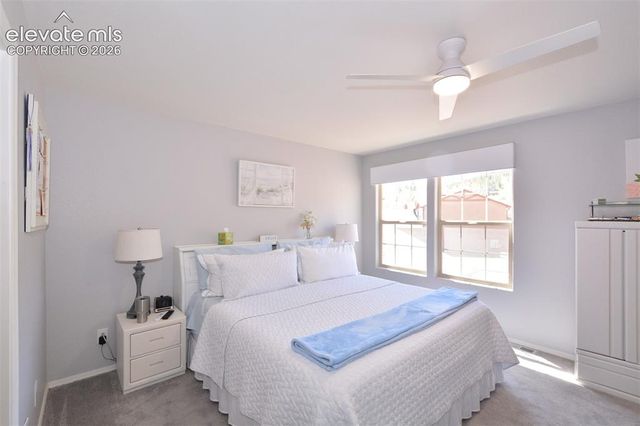 806 Misty Pines Circle, Woodland Park, CO 80863