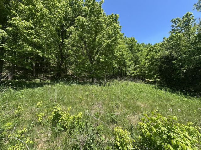 202 Maggart Rd, Elmwood, TN 38560