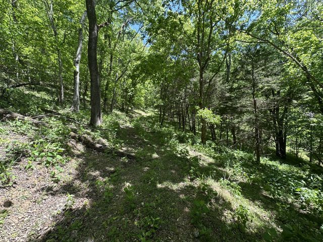202 Maggart Rd, Elmwood, TN 38560