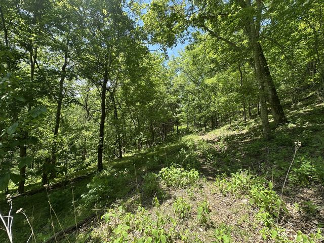 202 Maggart Rd, Elmwood, TN 38560